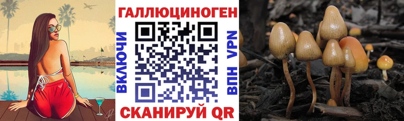 Псилоцибиновые грибы мухоморы  купить закладку  Бологое 
